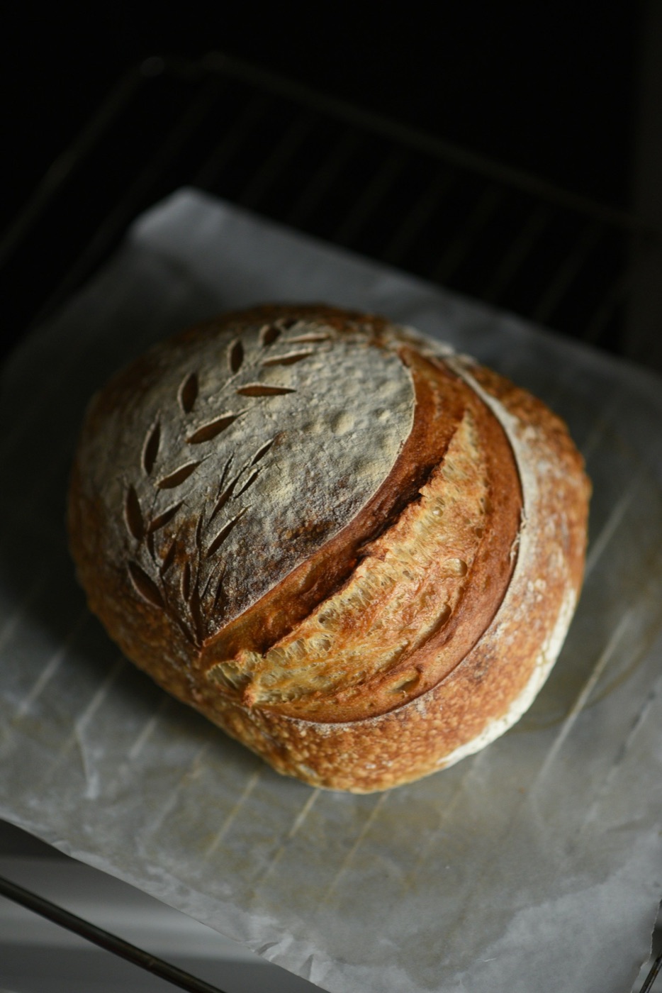 A scored sourdough loaf fresh from the oven